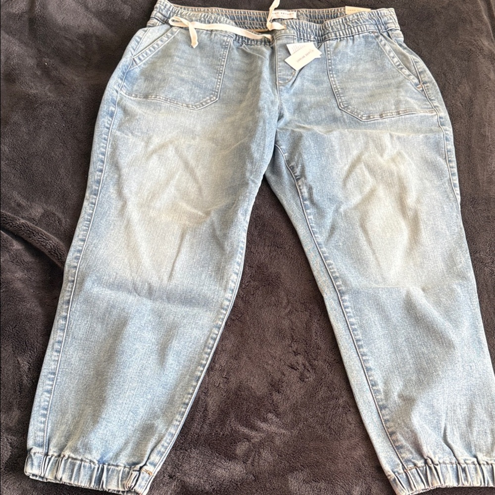 Blue Jogger Jeans